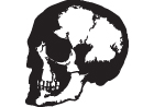 skull Vinyl Sticker