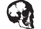 Skull Vinyl Sticker